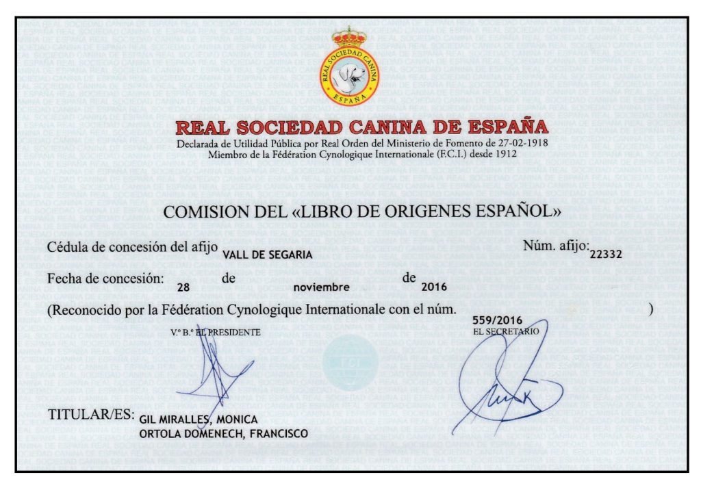 Certificado