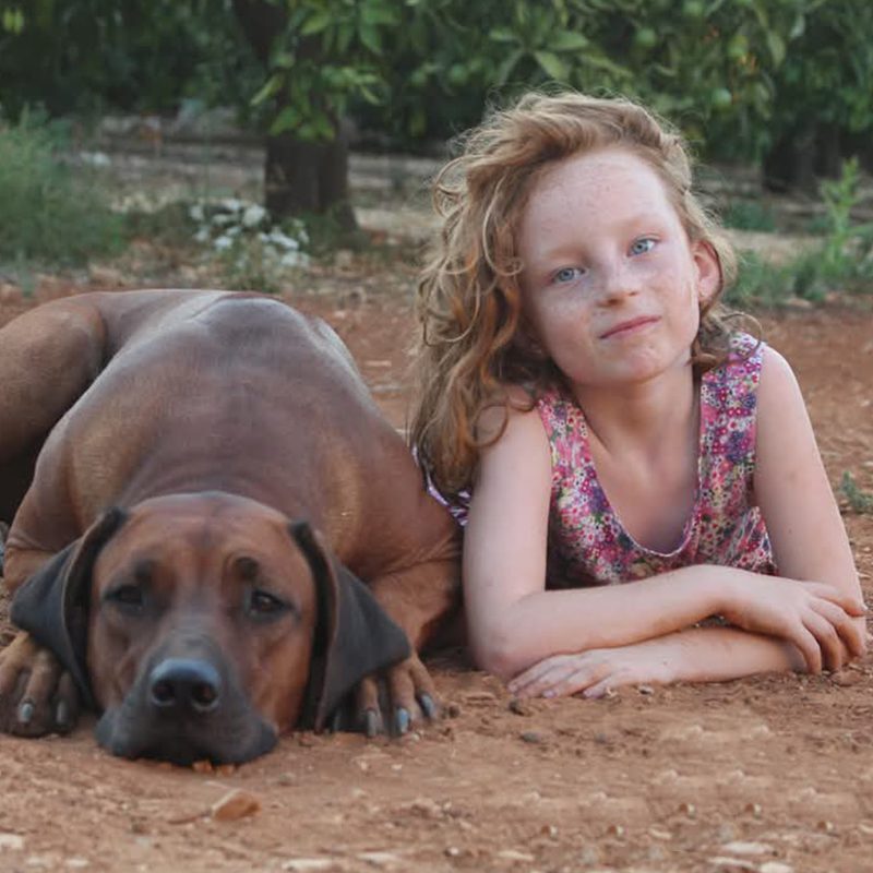 Rhodesian Vall de Segaria