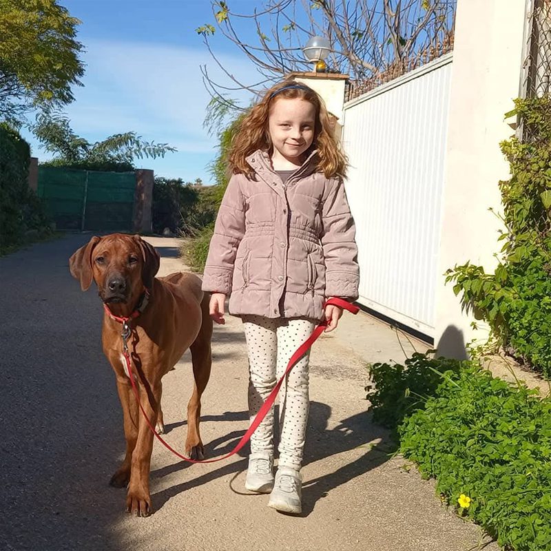 Rhodesian Vall de Segaria