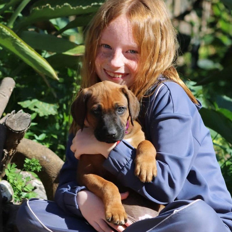 Rhodesian Vall de Segaria